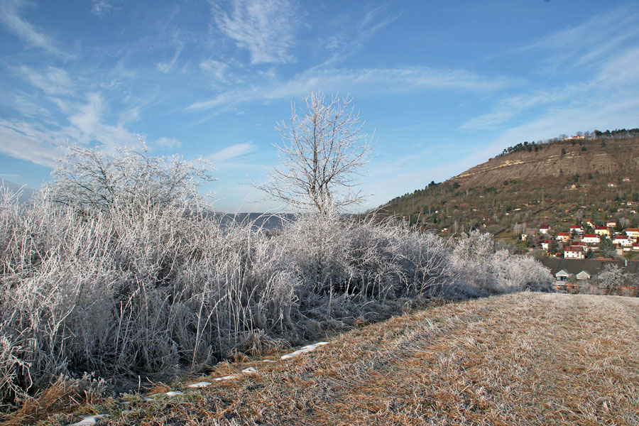 winter-in-jena-8 winter-in-jena-8