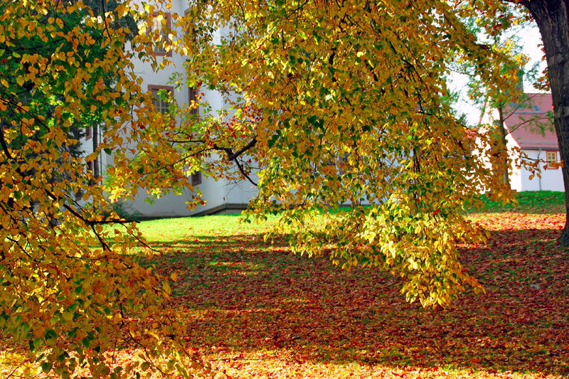 Eisenberger Schlosspark im Herbst Eisenberger Schlosspark