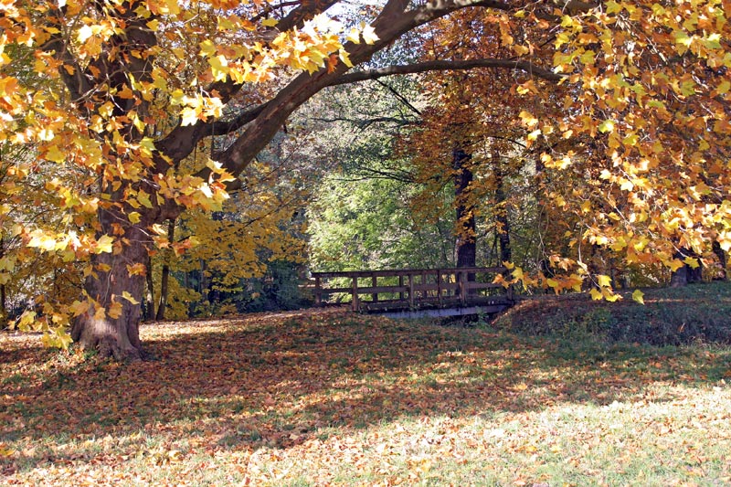 Herbst im Jenaer Paradies Jena-Paradies