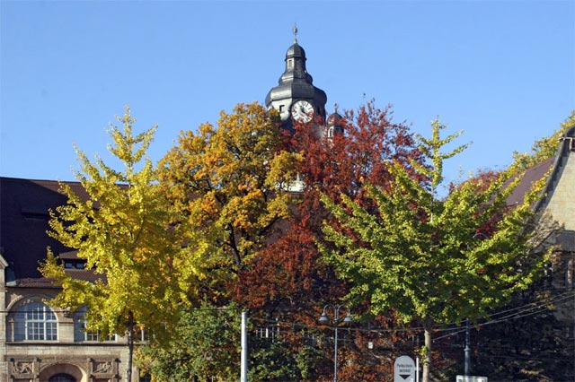 Jenaer Herbstimpressionen an der Uni Universität in Jena