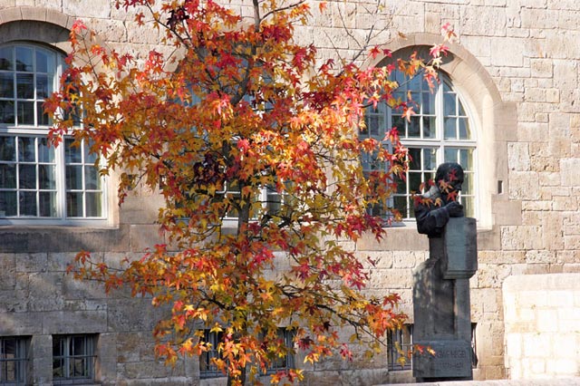 Hegel-Büste Hegel in Jena