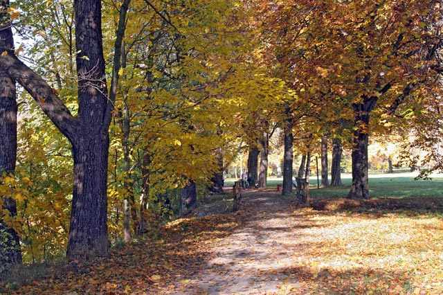 Paradiesische Impressionen aus Jena Jenaer Paradies