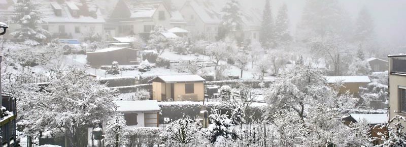 Jena im Schnee