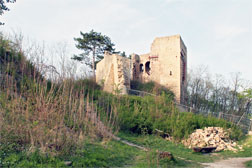 Ruine Lobdeburg