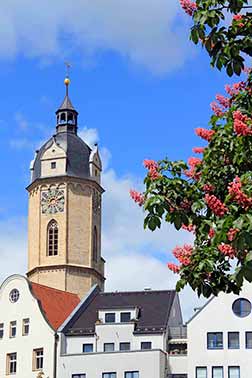 Kastanienblüte in Jena