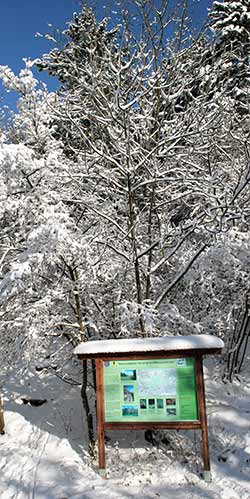 Winterwanderung um Jena