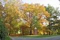 Herbst in Eisenberg bei Jena