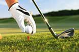 Golf wird immer beliebter Golf Rasen