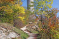 Herbstlicher Hausberg