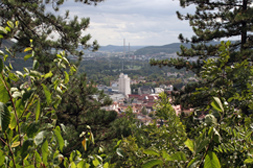 Blick vom Landgraf auf Jena