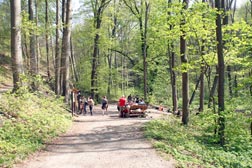 Wanderung zum Fürstenbrunnen